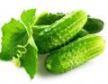 Огурцы